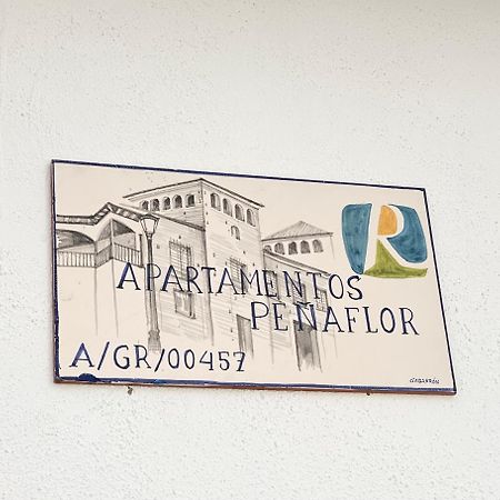 Apartamentos Penaflor غواذيكس المظهر الخارجي الصورة